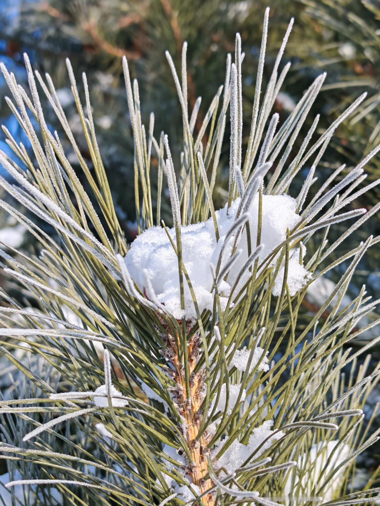 与痛风斗争的历程80早晨起床，天朗气清，浑身关节舒展通透，没有一丝往