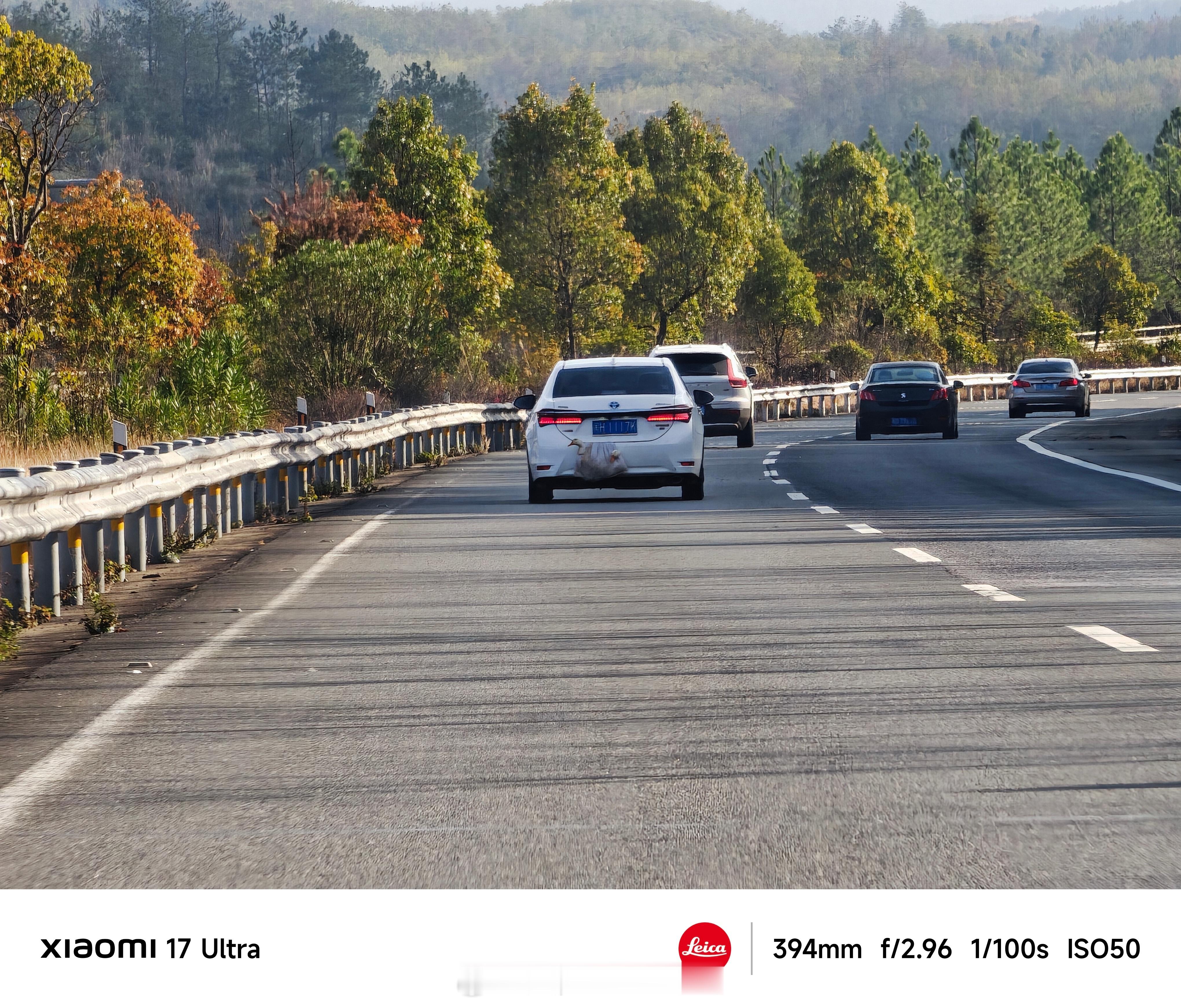 前天开车路上看到的，差点忘发给大家看了，一个超级新奇的带年货回家方式…