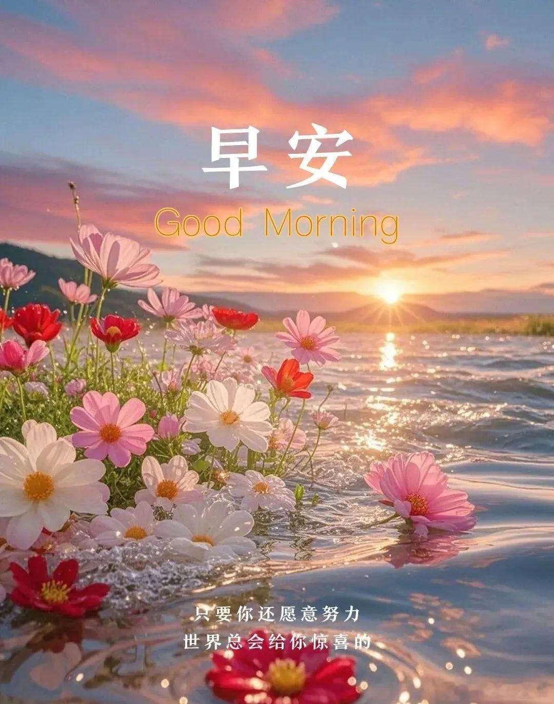 早安😘😘周末愉快[鼓掌][鼓掌]​​​