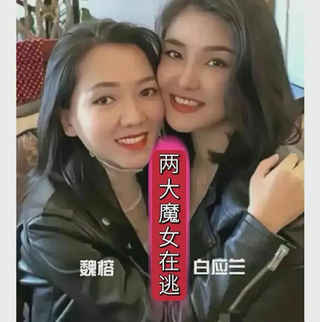 白所成、白应仓等5名白家犯罪集团成员被判死刑了！ 但我一直极其关心的另一个该