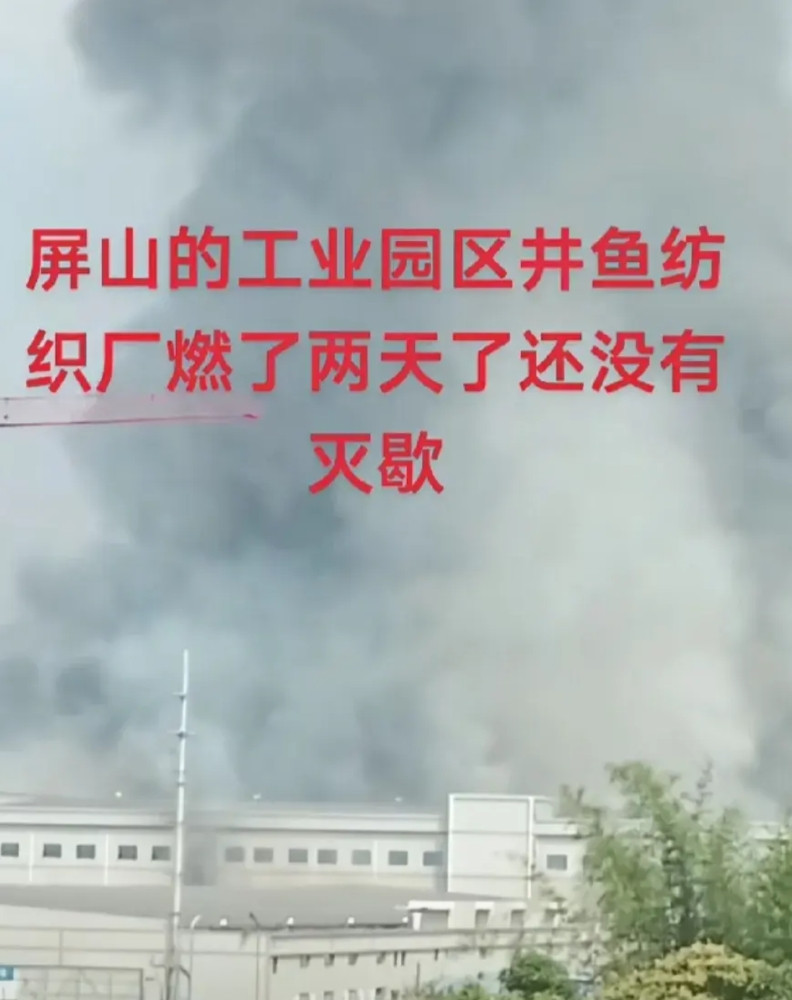 一个偌大的纺织厂，因为拖欠员工八百块钱被一把火烧了！大火烧了三天三夜，消防车来