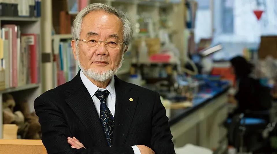 日本生物学家大隅良典因为发现了饿肚子时身体靠"吃掉"受损细胞来自我清理的机制