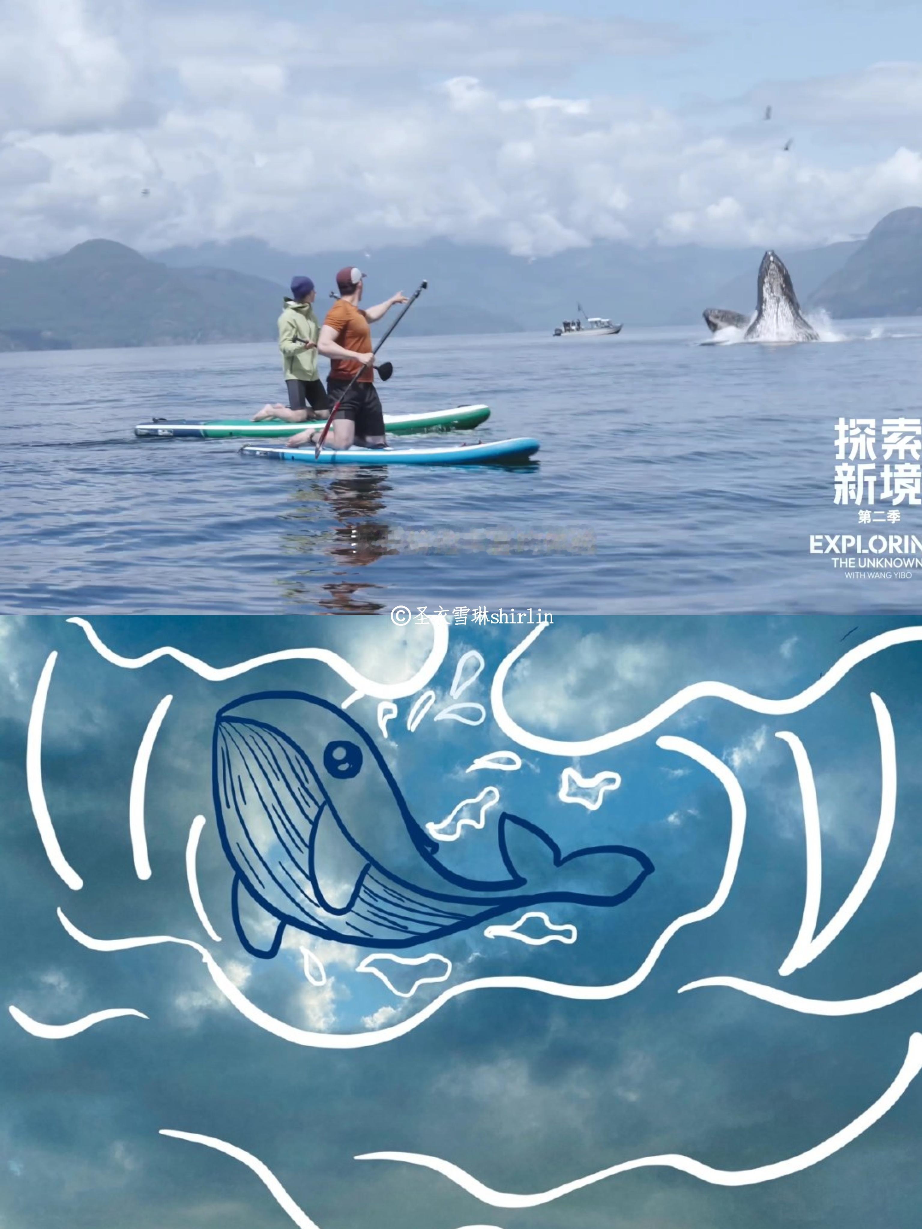 巧了，王一博和鲸鱼合影了，肖战可是发过两次鲸鱼哦🐳（超话那条限流重发）