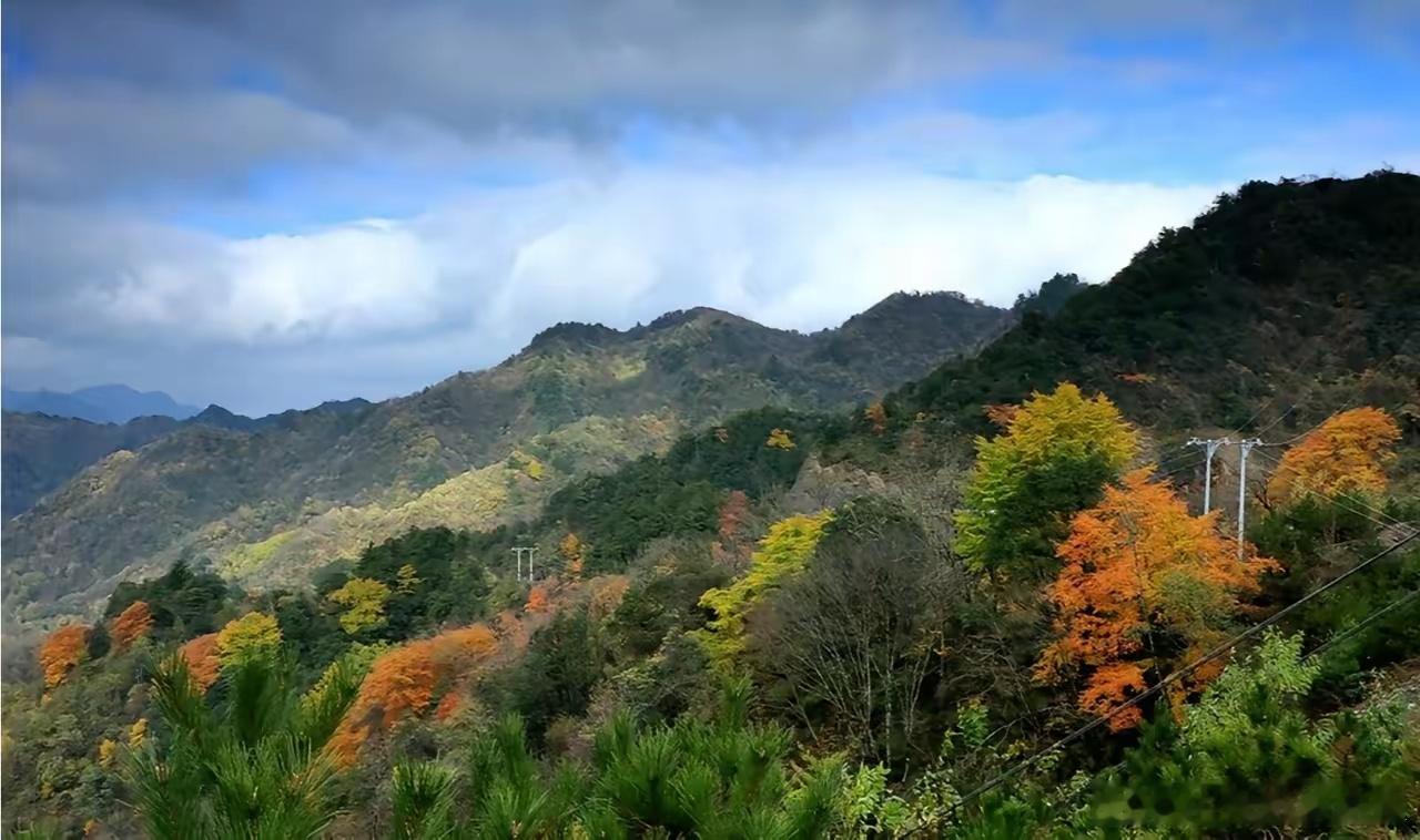 未来30年，哪个会是市场中的真龙？1、寒武纪：AI芯片、云计算2、摩尔线程：GP