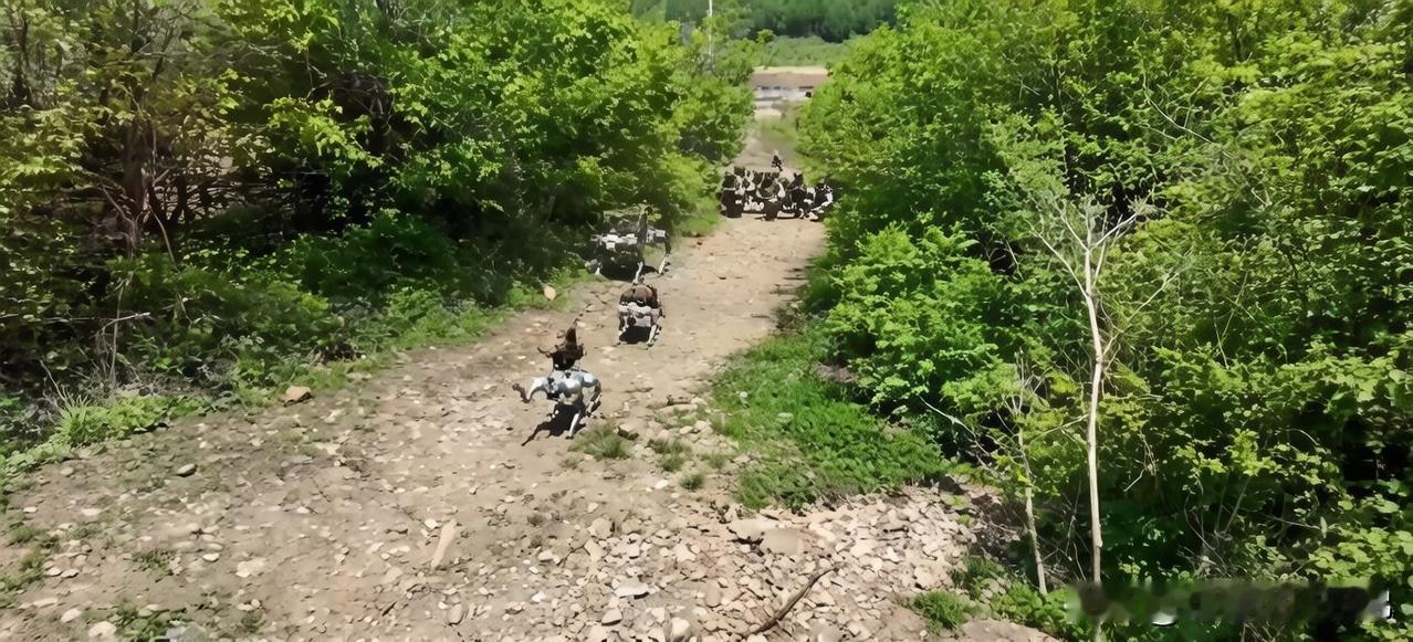 无人救护装备落地前线，我军战场急救迈入低空无人时代联勤保障部队实战演练中，多