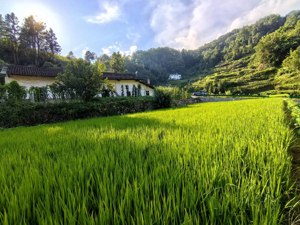 湖北有一半人都去了利川避暑，而我却选择来到了夷陵区的这个依山傍水的地方，这里的海