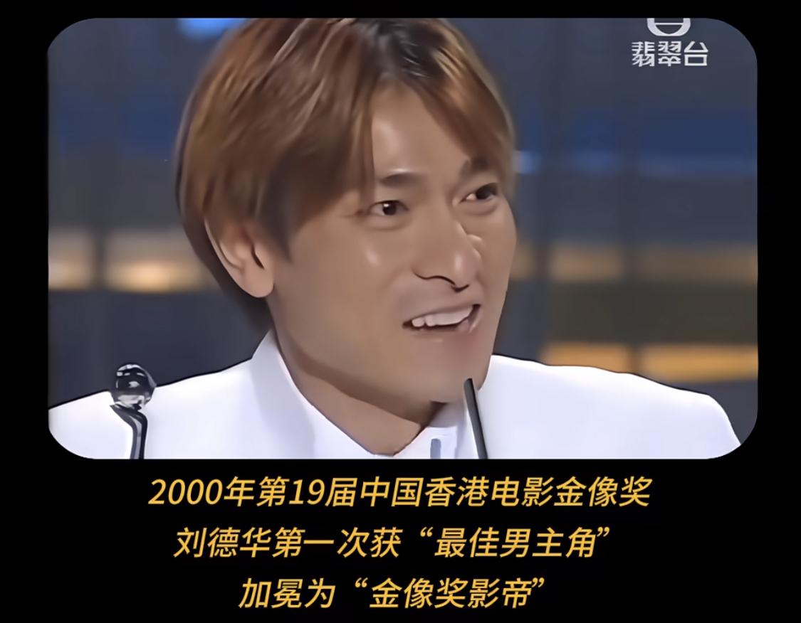 刘德华在19届金像奖颁奖典礼上，咬牙切齿的说了几遍感谢向太，却没有感谢向华强先生