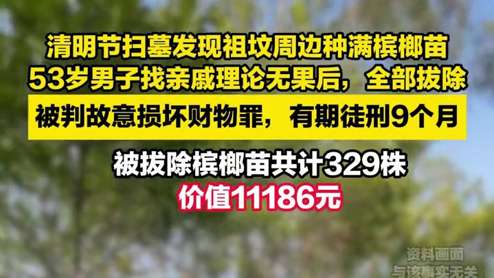 男子清明扫墓发现祖坟旁被亲戚种满槟榔苗，自行拔除后获刑9个月 #大河深一度 #媒体精选计划