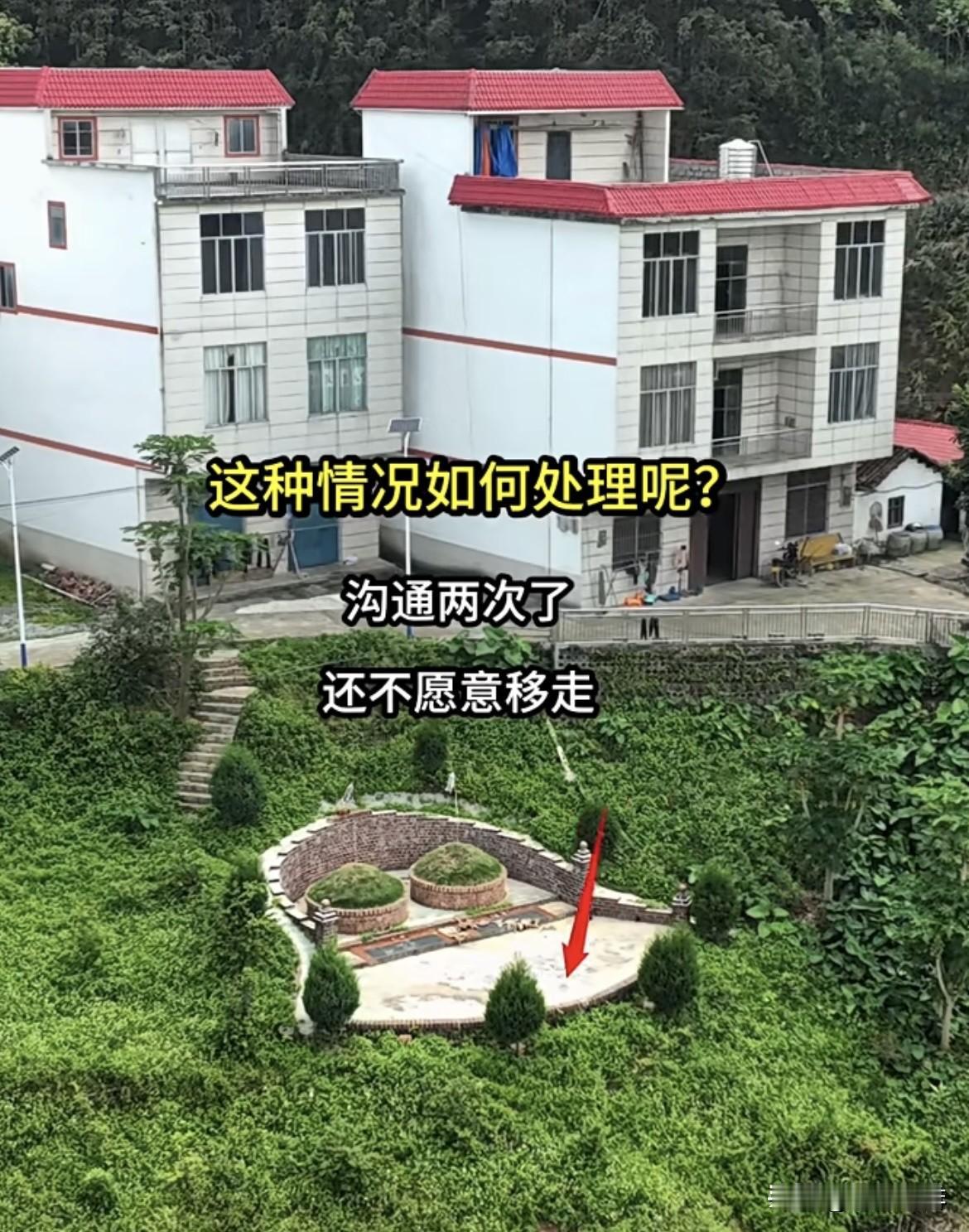 未经同意我就来我家前面种树，沟通两次了都不移走。这种情况如何处理好呢⁉️