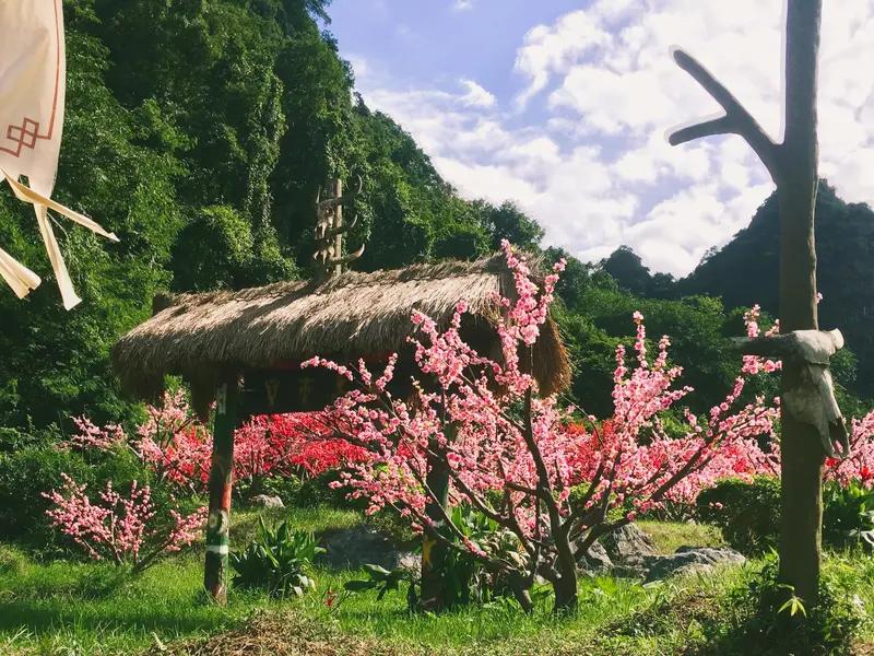 诗词评论宛如一泓清泉，令人心旷神怡。洒脱咖啡0Zz把诗词里山清水秀的意境勾勒得如