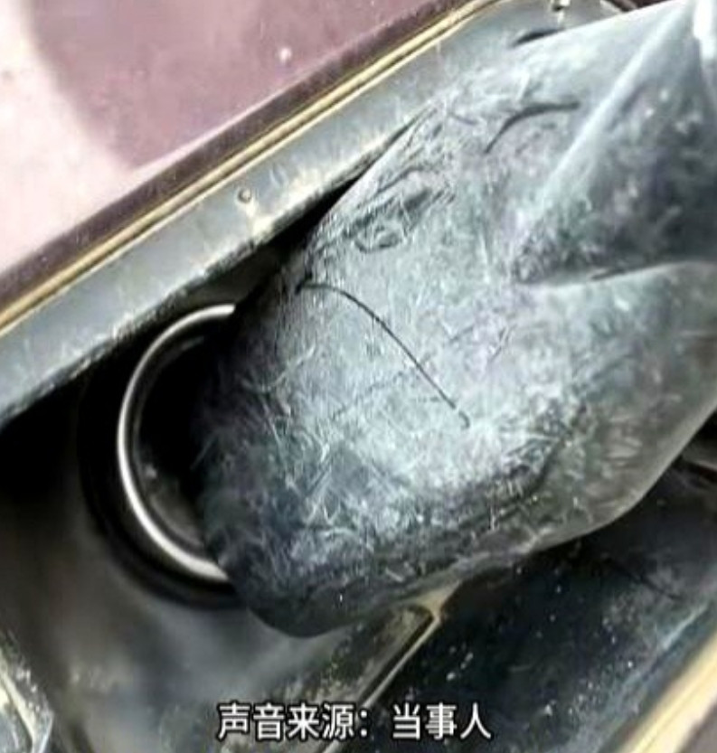 “真是命大！”四川，一女子载着一家人自驾回老家，却在高速上发现汽车有些怠速，就来