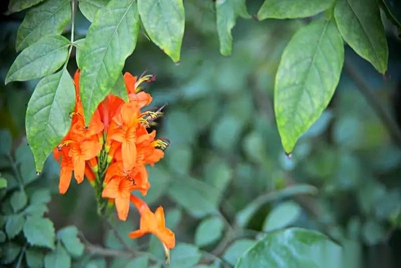 2026年4月24日的十二星座运势座次排好了，前五名的剧本已经写死。双子座直接