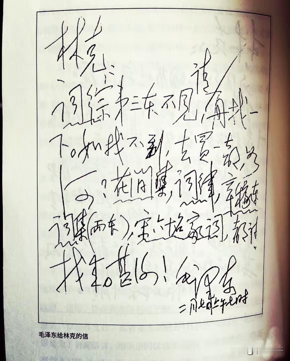 林克曾在伟人身边工作多年。多年前他曾在一档官方网媒的访谈节目中直言不讳地斥责某些