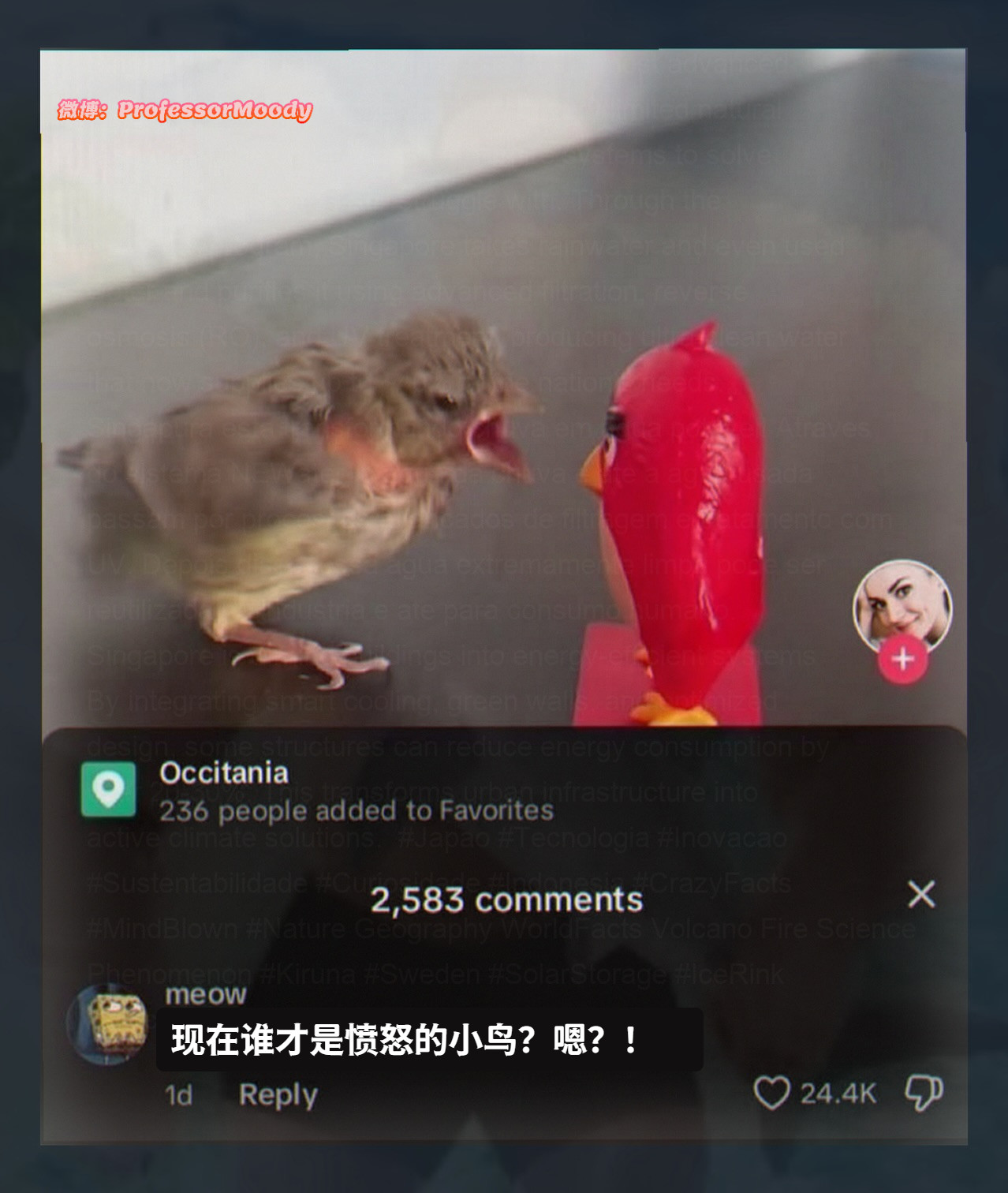 愤怒的小鸟😡meme​​​