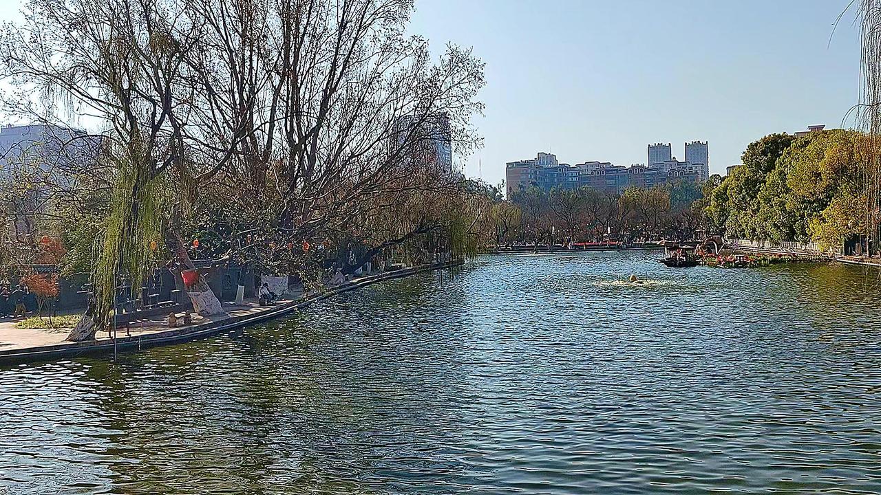 🌴昆明，一座四季如诗的城市，1820米海拔藏着无尽温柔。翠湖边的暖阳与海鸥共舞