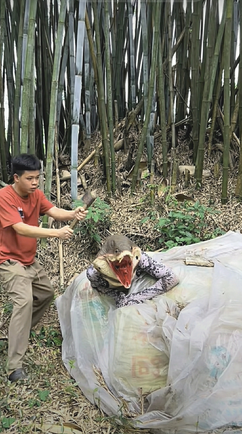 脑震荡可致死，太残忍不赞成。可用竹子藤条狠狠抽打，使其痛疼难忍又不致死而醒悟。