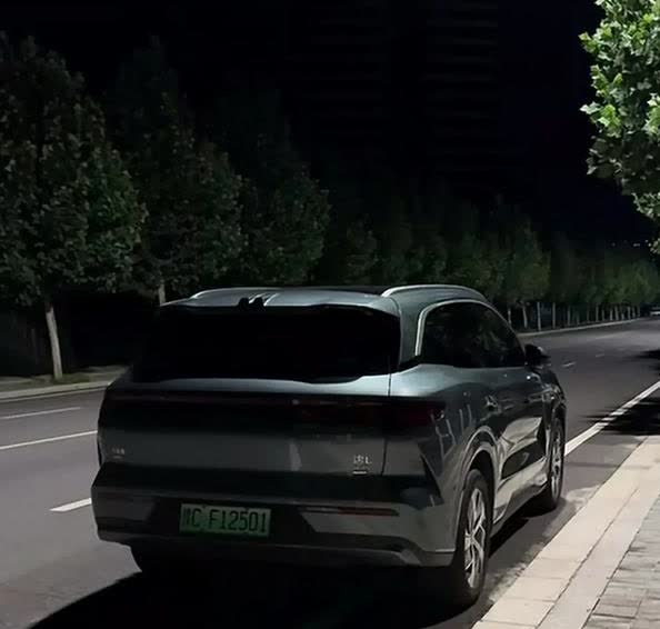 说实话，我对比亚迪唐L和汉L卖得不好还挺感慨的。之前开过家里的比亚迪秦L，后来换