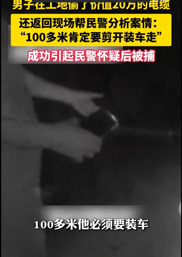“搬起石头砸自己的脚！”浙江温州，男子盗走价值超20万元、长达百米的电缆线，得手