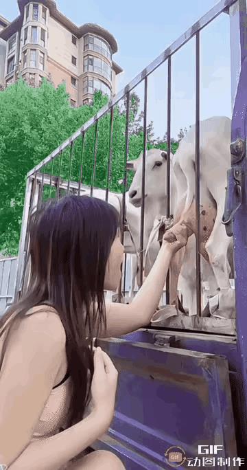 就不怕有沙罗氏杆菌病毒吗，不经过杀毒也敢喝？以为你是一只羊吗？[捂脸哭]