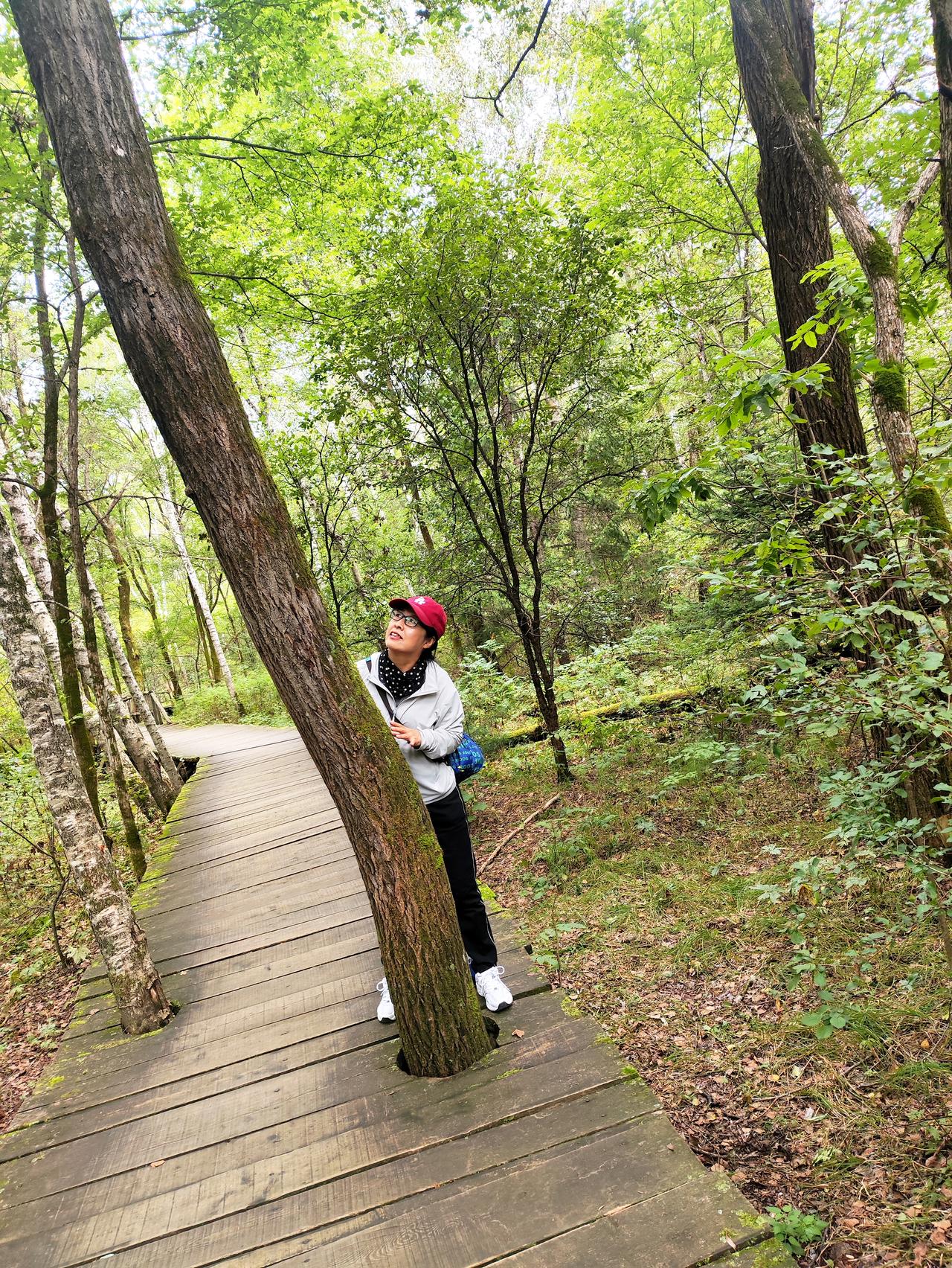 今天上街遇到了以前的同事，也退休了，她说我们最近可能要涨工资了，可能涨一千多块钱