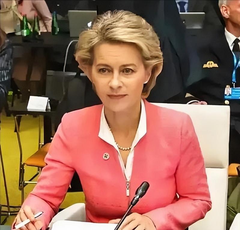 G7会场彻底撕破脸！冯德莱恩声泪俱下控诉中国“把稀土当武器”，话里话外要拉着美国