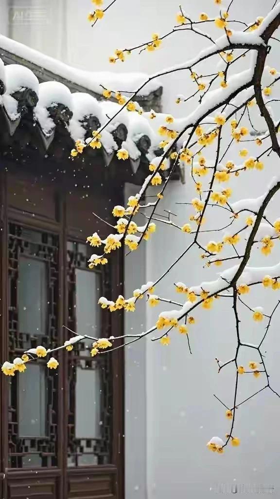 墙角数枝梅，凌寒独自开。遥知不是雪，为有暗香来。