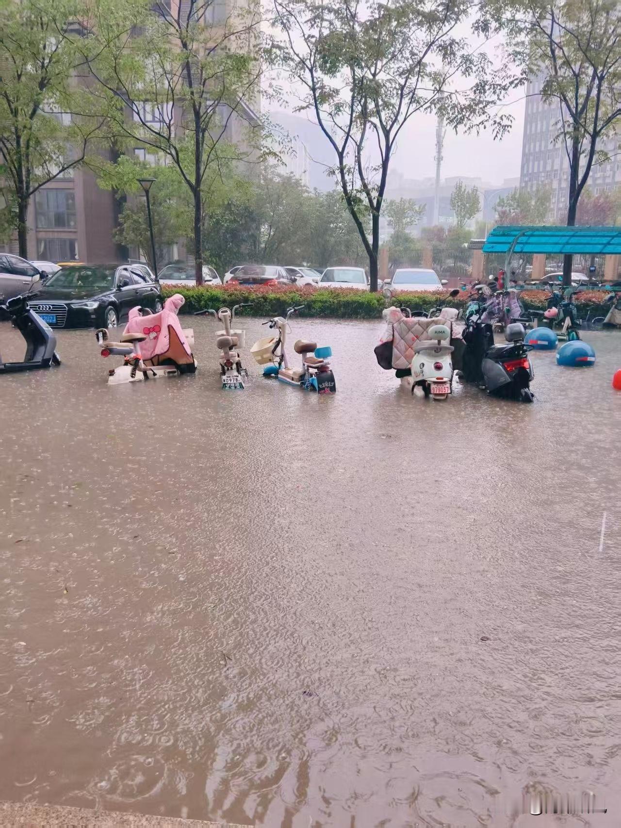 武汉这雨，直接把小区淹成“鱼塘”了！[捂脸哭]我的天，武汉这雨是疯了吧！一觉醒