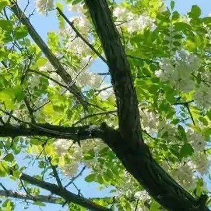 时光似酒，红尘漫漫，你若钟情，便岁月静好，你若厌弃，便满心哀伤。浅吟低唱间，流年