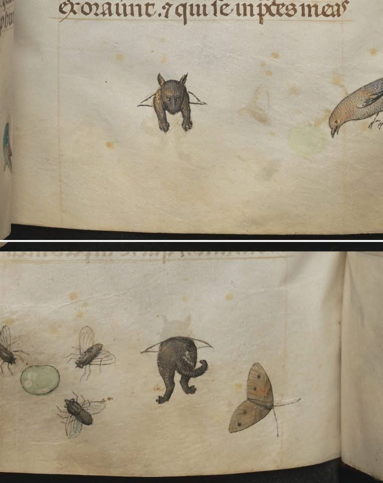 15世纪弗兰德地区的时间之书BookofHours，创作者是僧侣，因为每天在