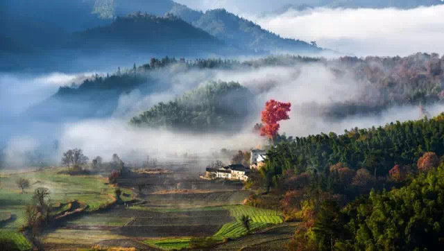 在徽州，总有一种风景，温暖了心，走进了梦。​​​​