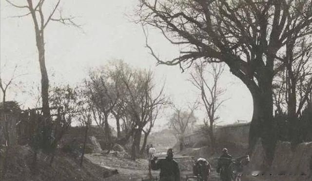 1941年，一个卖油郎问：“村里住多少八路？”小孩不假思索，脱口而出：“七八个！