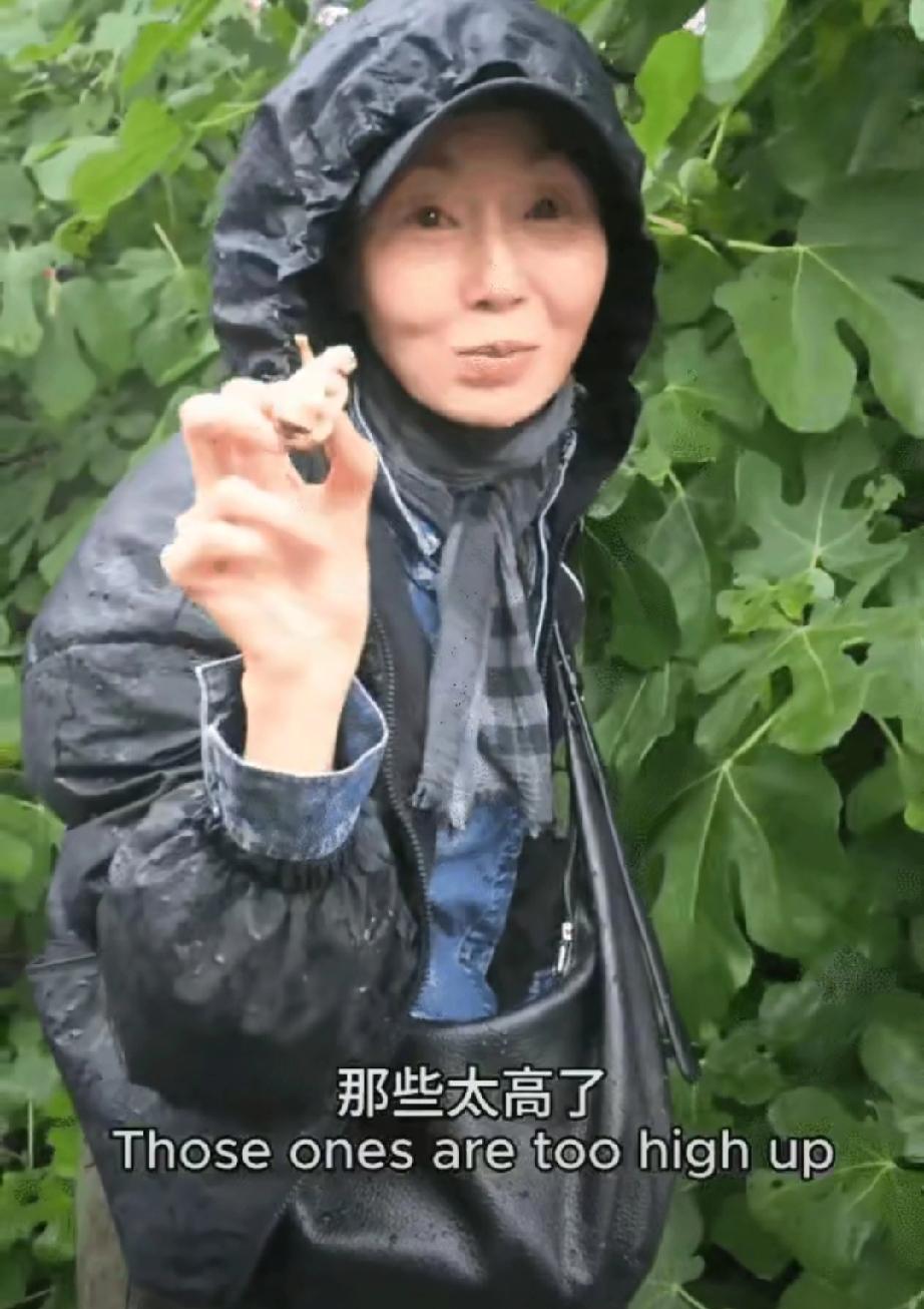 62岁张曼玉在法国乡下活成了“人间清醒”！曾经手握5座金像奖、4座金