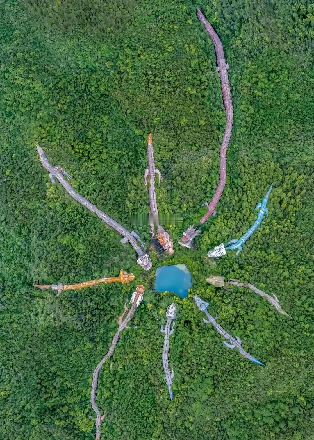 晨雾初散时，我望见九道山脊在云海里游动森林里发现诡异的九龙盘山，有些龙还被树挡住