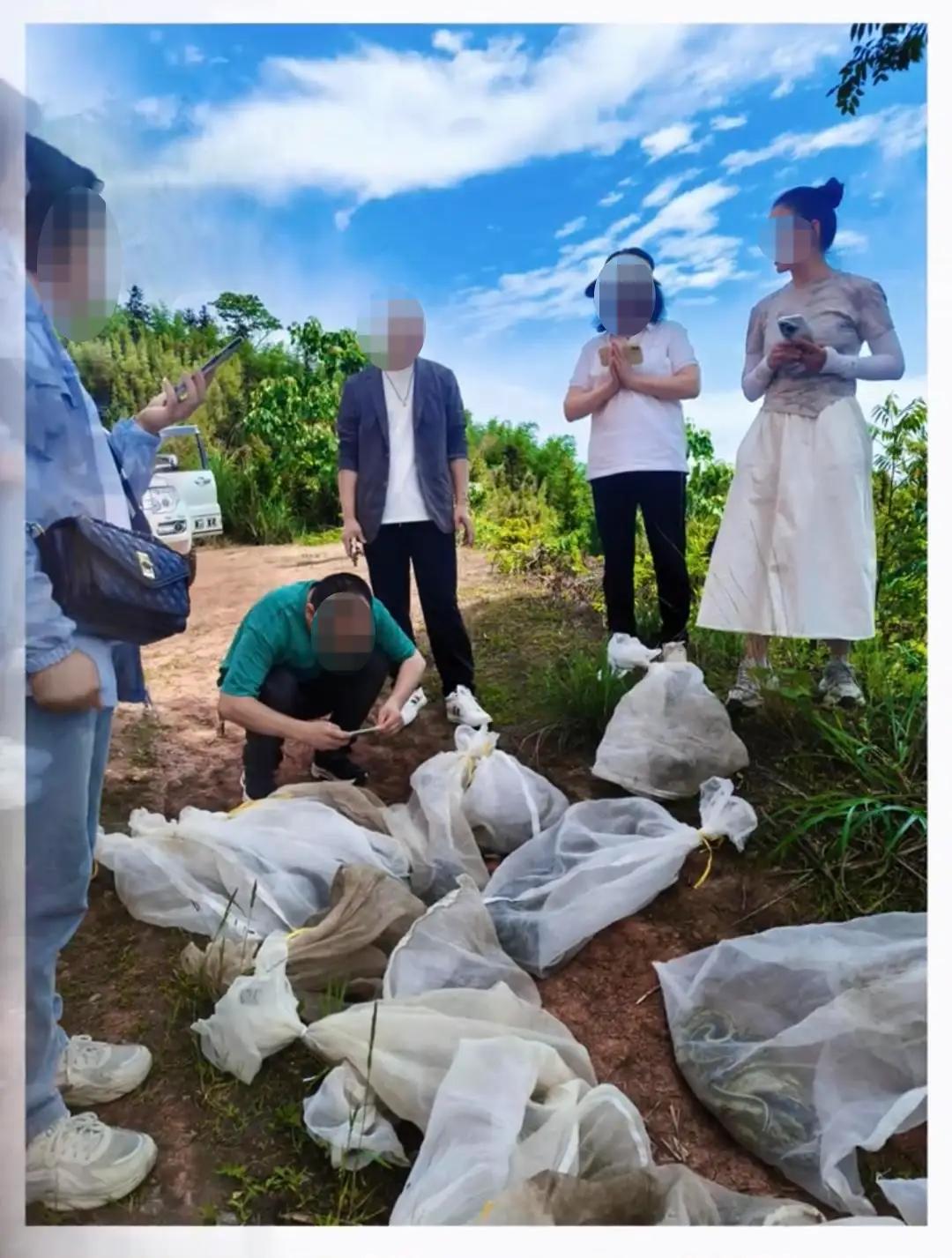 想想都觉得可怕，3米长蛇和6斤的大蛇这是在山上到处出没。肆无忌惮的放生，就没有