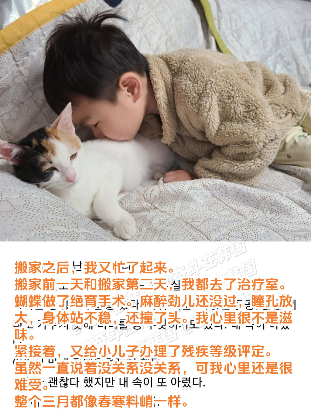 哭了自闭症小朋友和魔法小猫的故事~海外新鲜事热点现场