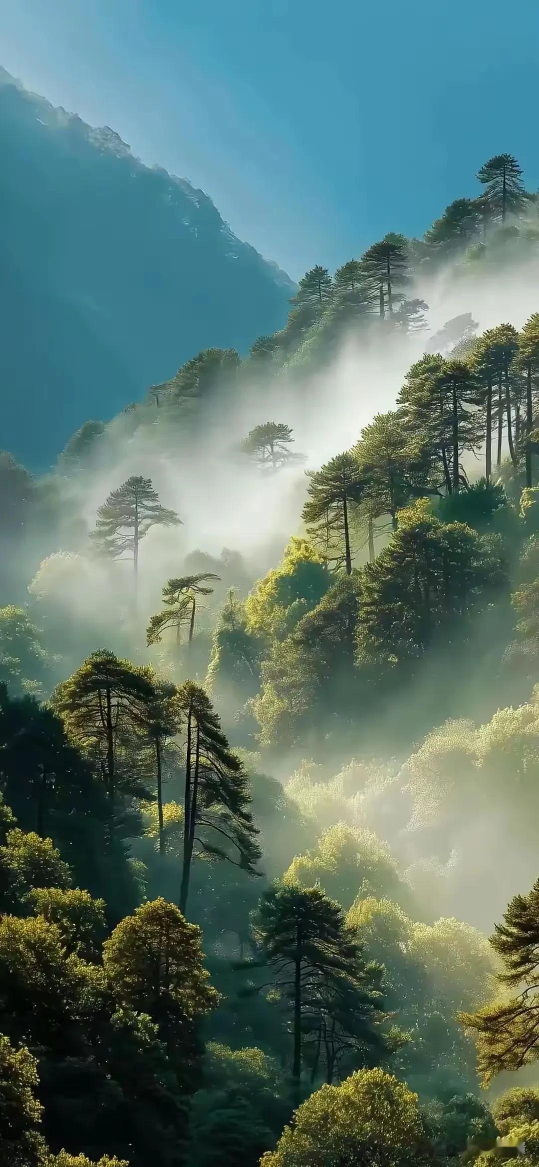 社会观察家这句预言，非常犀利且扎心。为什么说，未来十年，中国的婚恋关系会迎