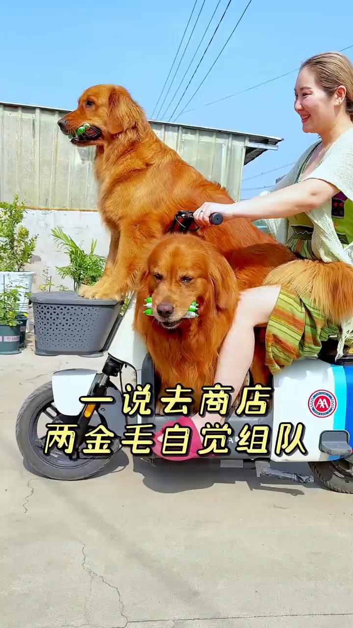 走啦，上点溜溜了。走喽，上那走，不坐那车，不开车。走喽，点溜喽。
