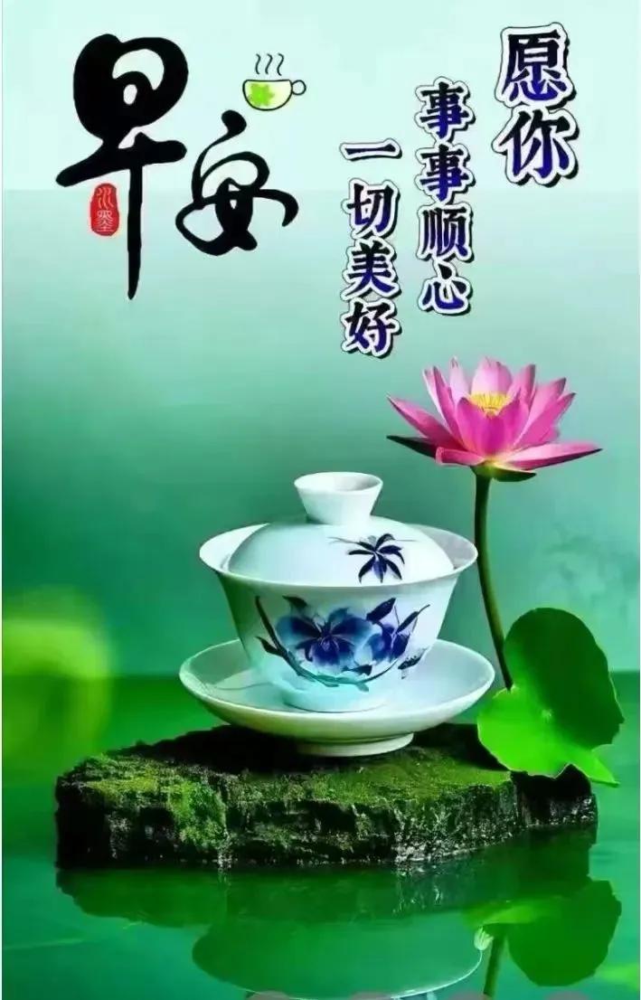 早安，愿你事事顺心，一切美好！🌸🍵