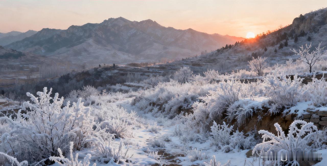 降温+降雨+霜冻接连登场，山东天气迎“换季式”调整！这些提醒请收好今日是立冬