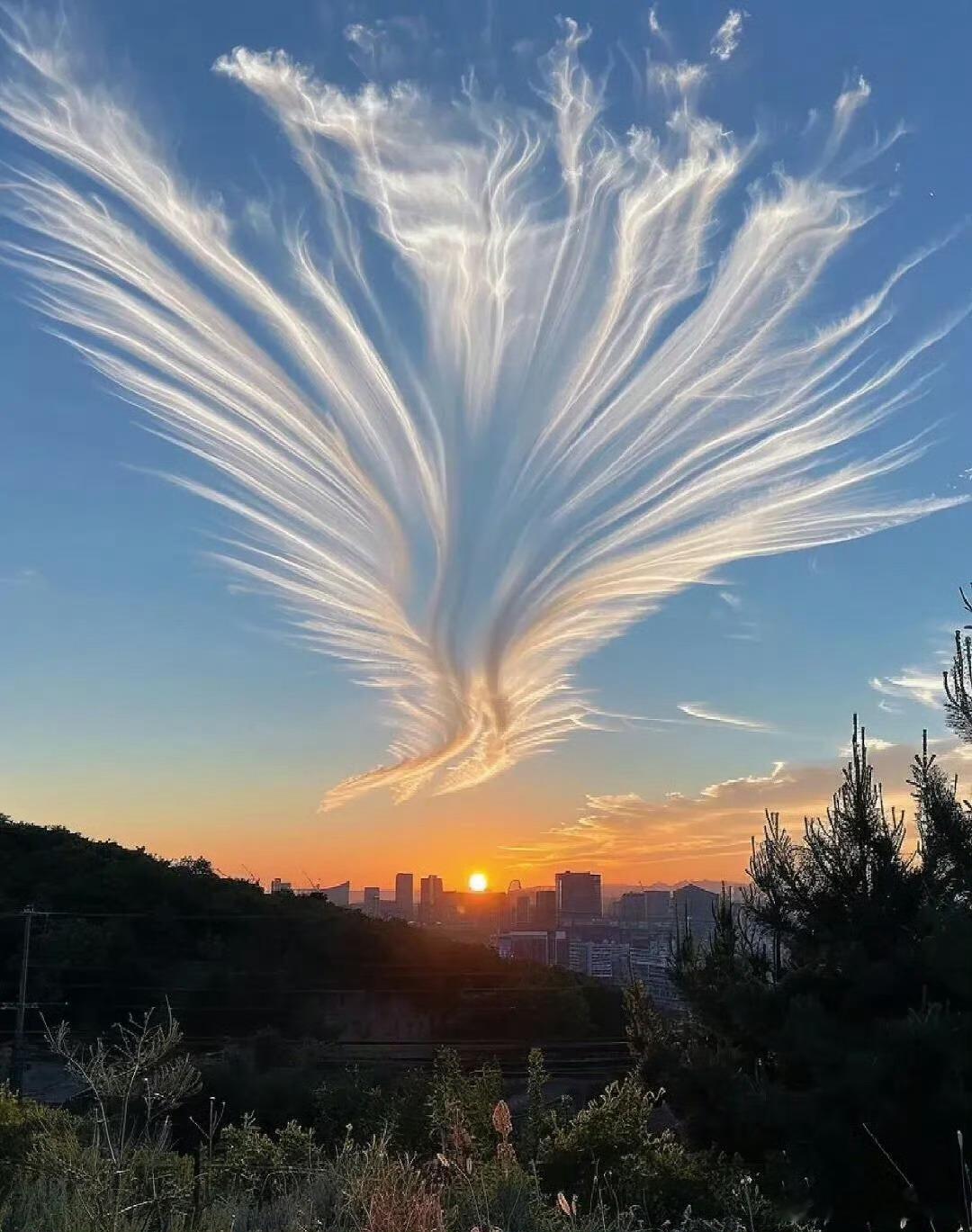 中医从化三原则：解开天人感应的身体密码中医的核心逻辑藏在“天人合一”的系统框架里