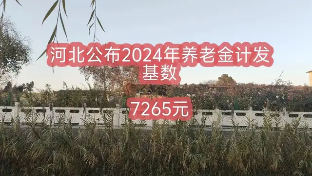 喜从天降! 河北养老金计发基数“惊喜”登场