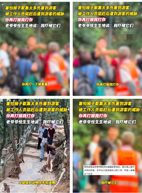 贵州贵阳黔灵山景区内，考虑到游客有可能会被猴子抓伤，景区安排工作人员驱赶猴子。这