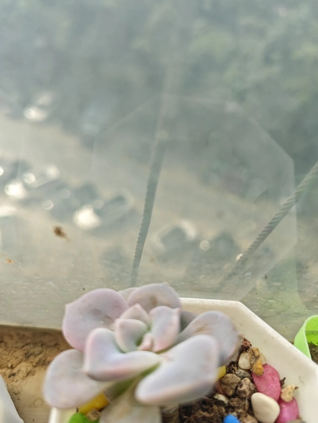 女拳已经打成这样了吗？到底是进步了还是倒退了？认识一30来岁仙女，结婚前要高