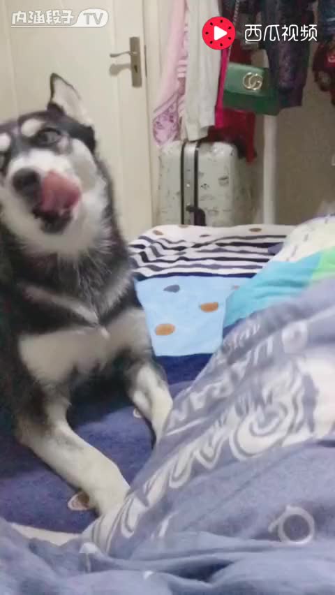10243681327454831559.jpg?id=0
