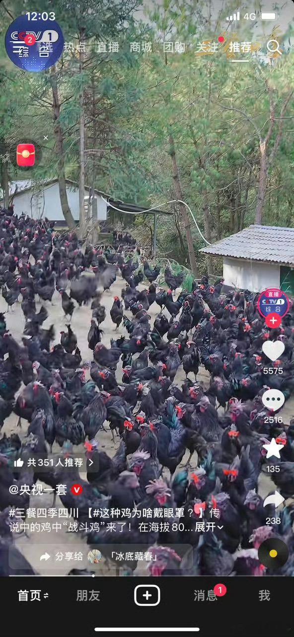 吃鸡怎么了？？？咱们中国人过年有不吃鸡的吗？吃鸡吃鱼是中国人过年传统，咋的，还不