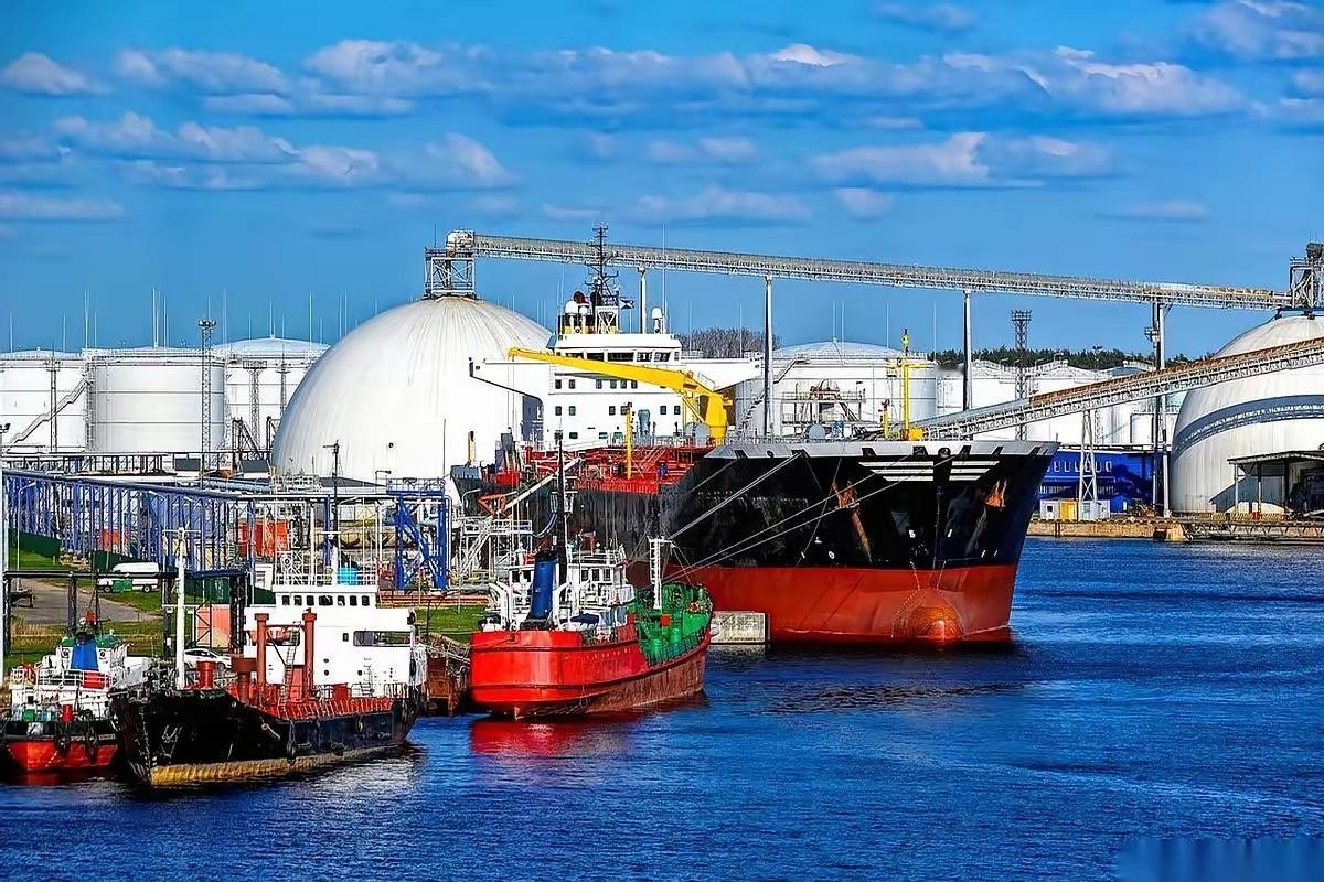 跟你说个事儿，扎心不扎心。一个浙江老板，揣着2.5个亿去俄罗斯远东买了片林场，三