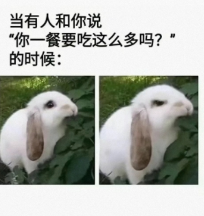 两耳不听局外事