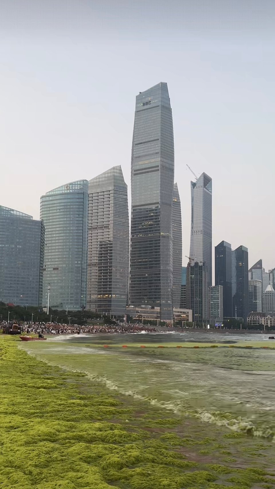 这几天的青岛海边​​​