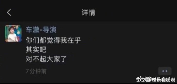 车澈好没有担当的一个人自己酒后不适宜的行为对前妻、朋友都造成了影响只会在评论区道