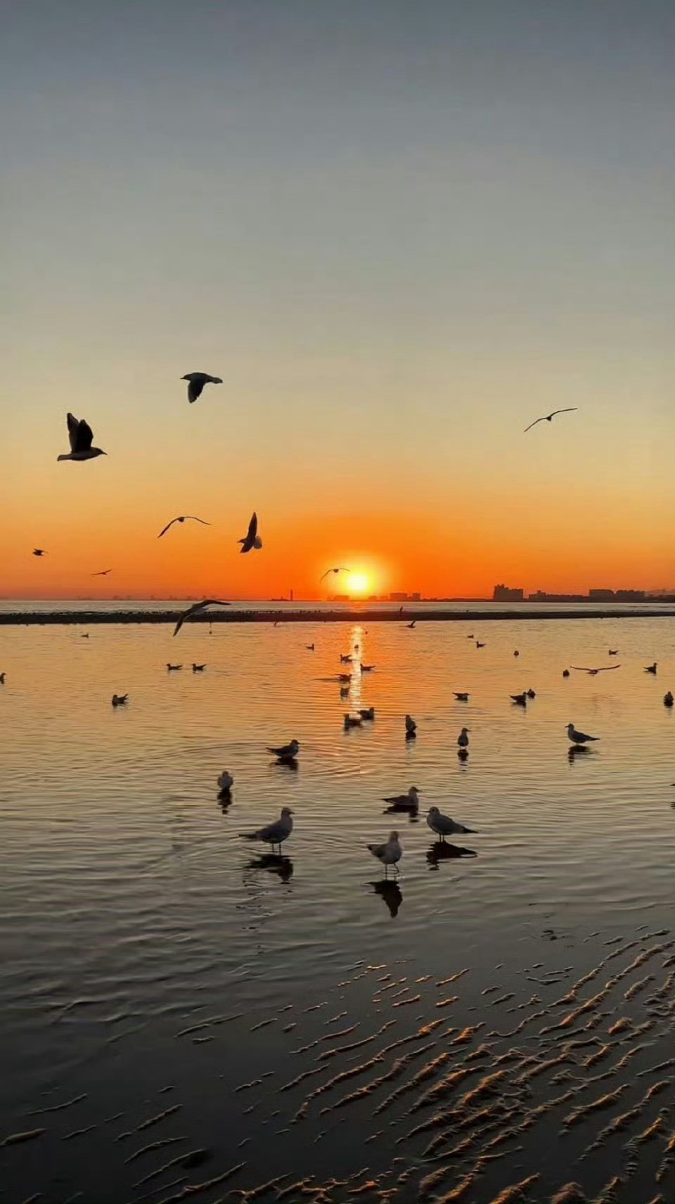 人生一辈子，从追求“我与别人不一样”，什么都与别人比较。最终再转过来去抵达“我与